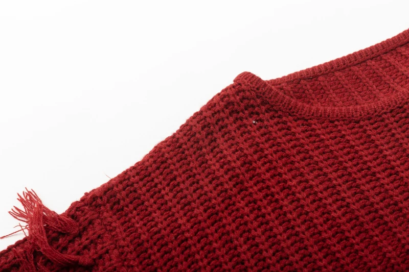 ShejoinSheenjoy Tassel Long Sleeve Knitted Sweater Women Tops Pullovers O-Neck Autumn Winter Short Pullover Women Sweaters (20)