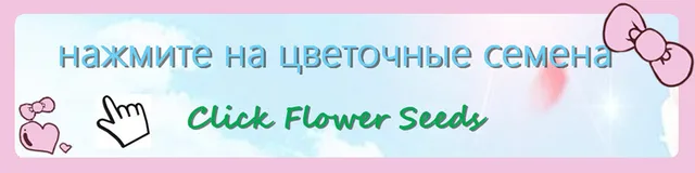 200 szt rzadkie żywe kamienie mix Lithops Bonsai kwitnący kwiat soczysty Cactus Organic Garden luzem Bonsai dla domu ogród tanie i dobre opinie Bardzo proste Wykluczone Strzelec Konserwy roślin Wieloletnich Courtyard Subtropikalnych Soczyste rośliny Rośliny ogrodowe 200 szt rzadkie żywe kamienie mix Lithops Bonsai kwitnący kwiat soczysty Cactus Organic Garden luzem Bonsai dla domu ogród tanie i dobre opinie Bardzo proste Wykluczone Strzelec Konserwy roślin Wieloletnich Courtyard Subtropikalnych Soczyste rośliny Rośliny ogrodowe