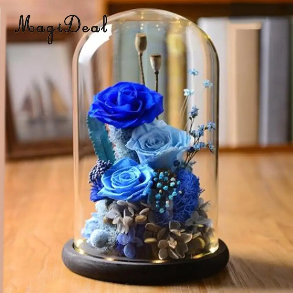 Elegant Glass Display Cloche Dome Jar Dome Flower Immortal Preservation Vase Wooden Base Home Decor Ornament