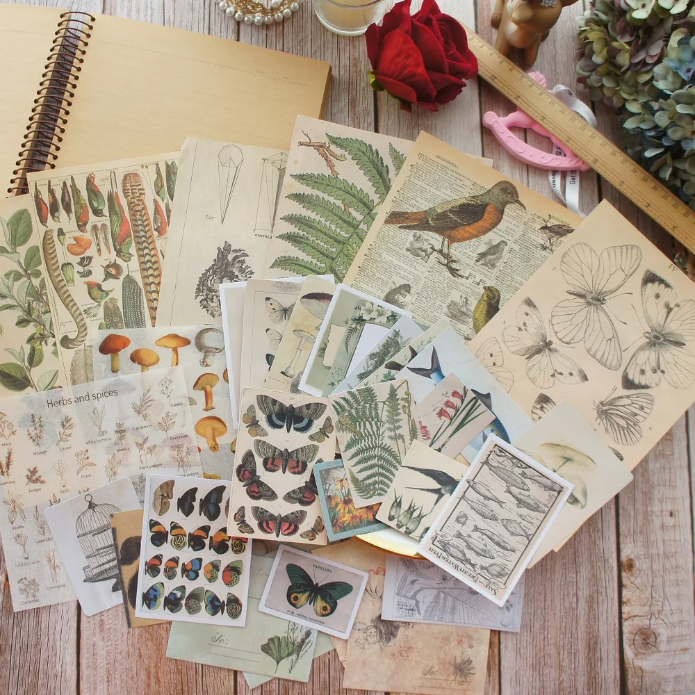 

34 Pcs DIY Butterfly Mushroom in Tropical Rainforest Theme sticker Background Craft Paper envelop set Scrapbooking Creative Gift