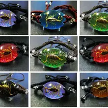 18 шт, модный браслет ручной работы в виде насекомых, настоящий золотой Скорпион-король, волшебный микс, NY09