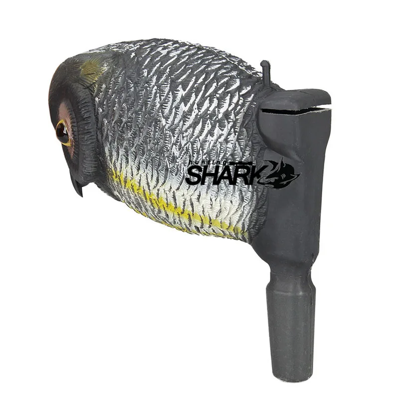 CL38-0012_5