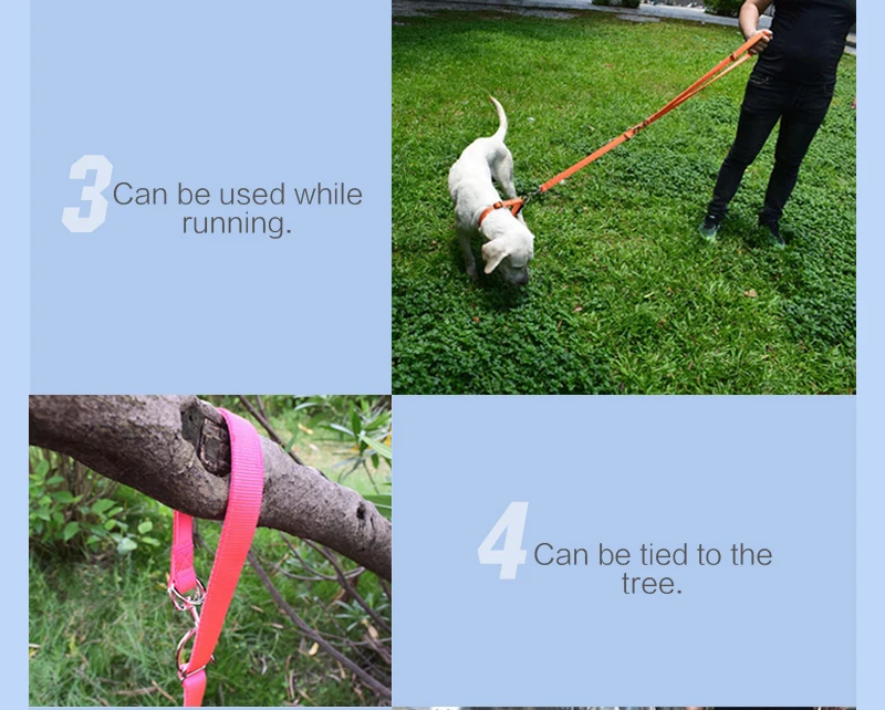 7 dog leash for running 