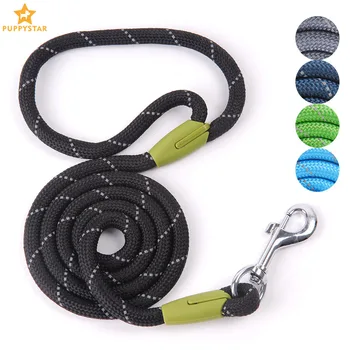 Dog Nylon Leash
