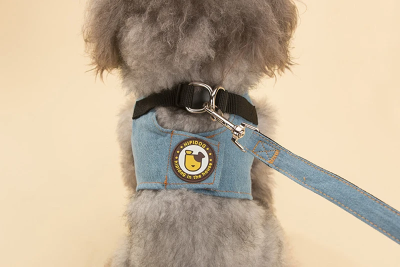 dog clothes (5)