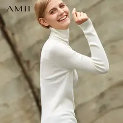 Amii минималистичный Повседневный женский свитер 2019 Водолазка с длинным рукавом однотонные женские пуловеры свитера