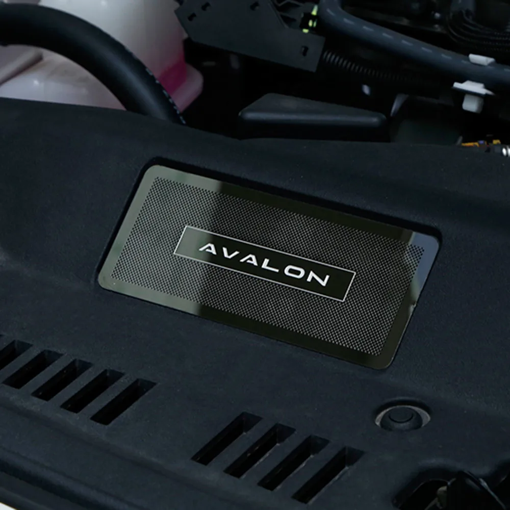 

CAR BONNET AIR VENT INLET PROTECTOR PANEL MOULDING GARNISH FOR TOYOTA AVALON 2019 2020 ACCESSORIES CAR STYLING