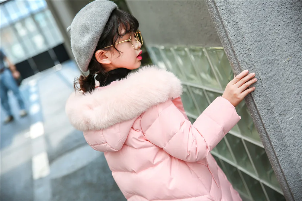  model figure  (6)