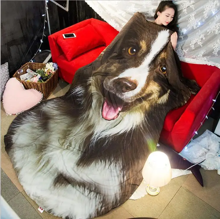 QQ20181228151238