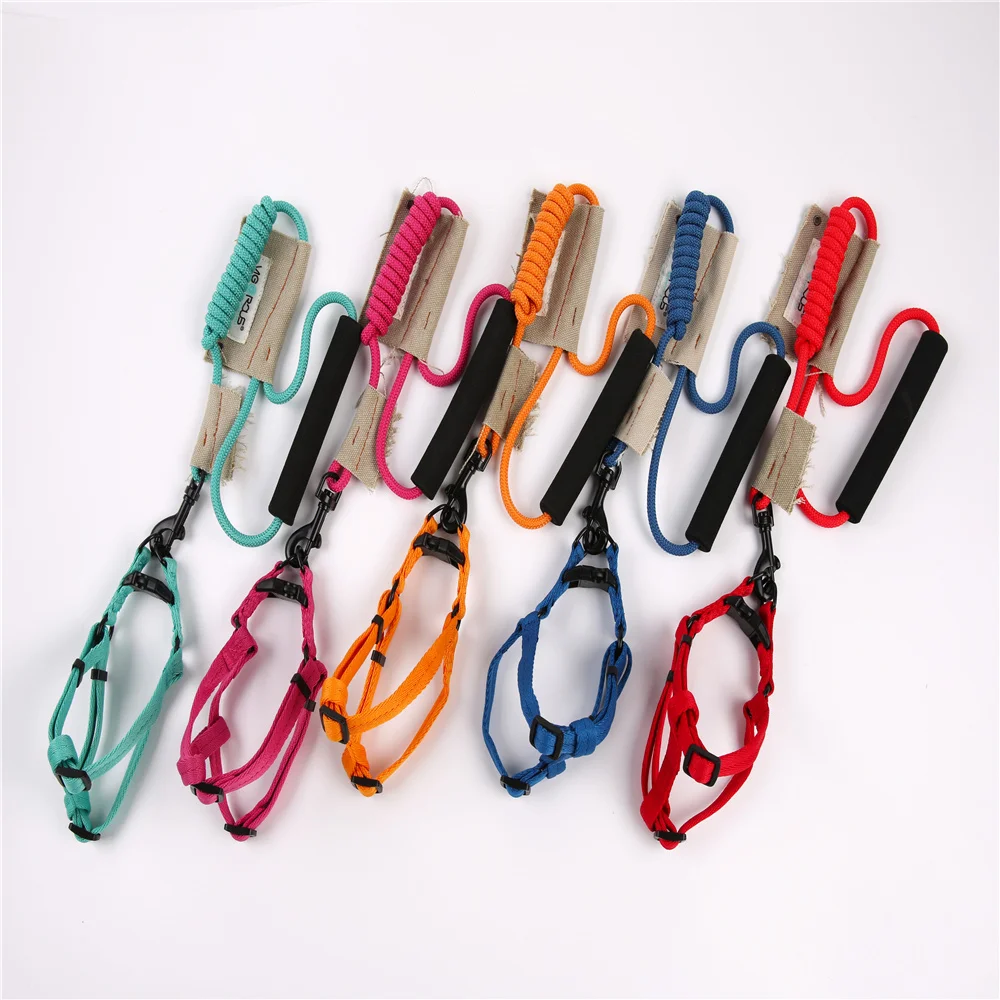 dog leash and harness 6