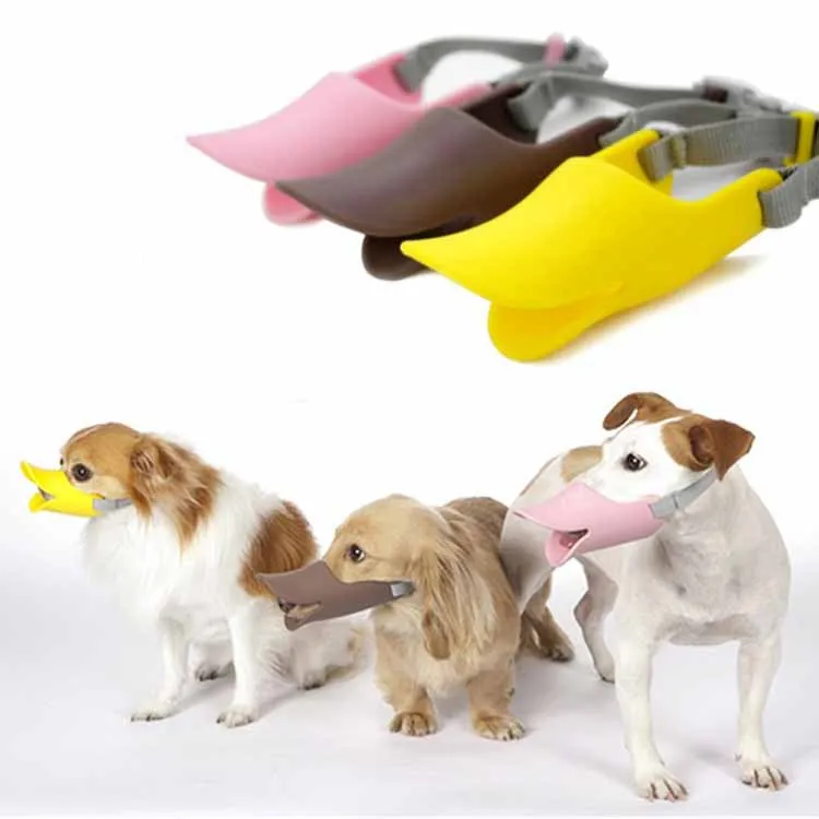 Duck Dog Collars Duck Dog Collars