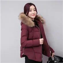 YAGENZ-2017-Korean-version-of-the-new-tide-hair-collar-hooded-thick-down-duvets-in-the.jpg_640x640