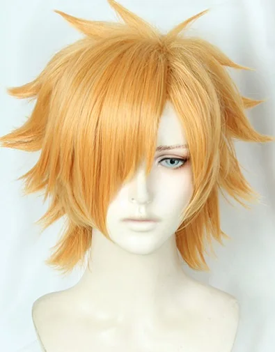 

Fate/Extra Archer Robin Hood Cosplay Wig