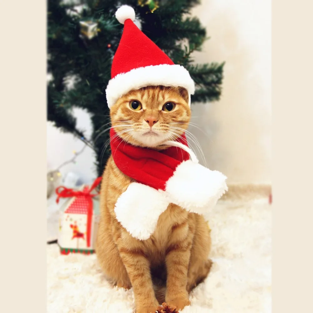 EXPAWLORER Christmas Cat Costume Santa Hats Adorable and Warm Xmas Gift Hat with Scarf for Mini Dogs Puppy 