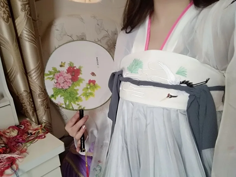 Hanfu костюм для китайских танцев традиционная одежда для выступлений женское платье древнего журавля династия Хань Косплей Одежда для леди DC1134