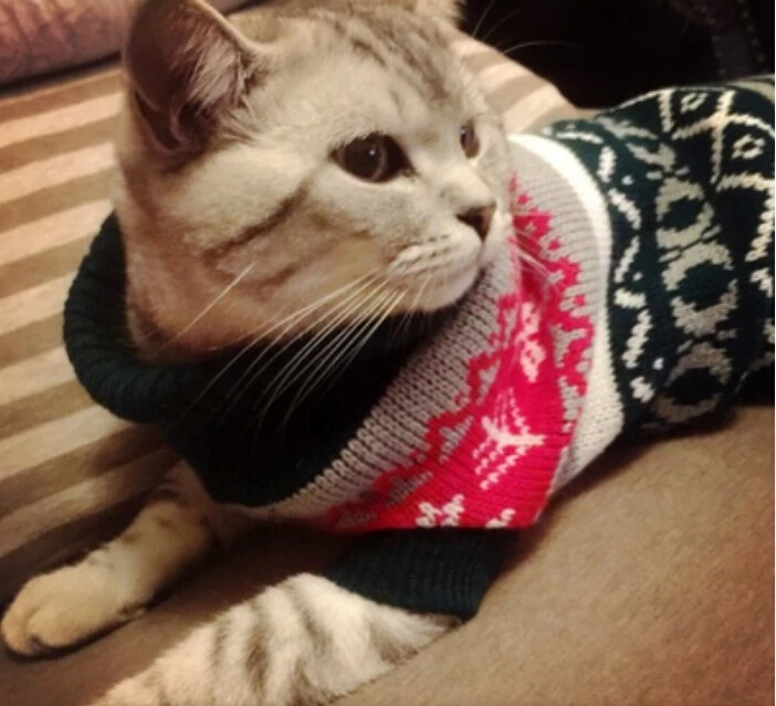 Petalk Snowflower Cat Sweater Knitwear Pet Jumper Coat Dogs Cat Christmas Dog Clothes for Small Pet XS S M L XL XXL Petalk Snowflower Cat Sweater Knitwear Pet Jumper Coat Dogs Cat Christmas Dog Clothes for Small Pet XS S M L XL XXL