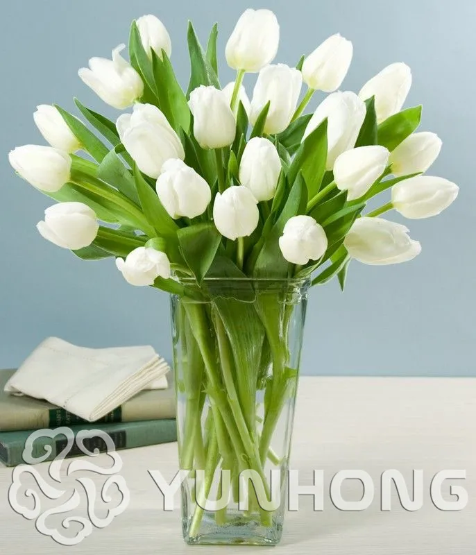 

5 pcs / lot Mini White Tulip Bulbs Bulbous Root Flowers Balcony Potted Perennial Flowers It is Bulb Bonsai