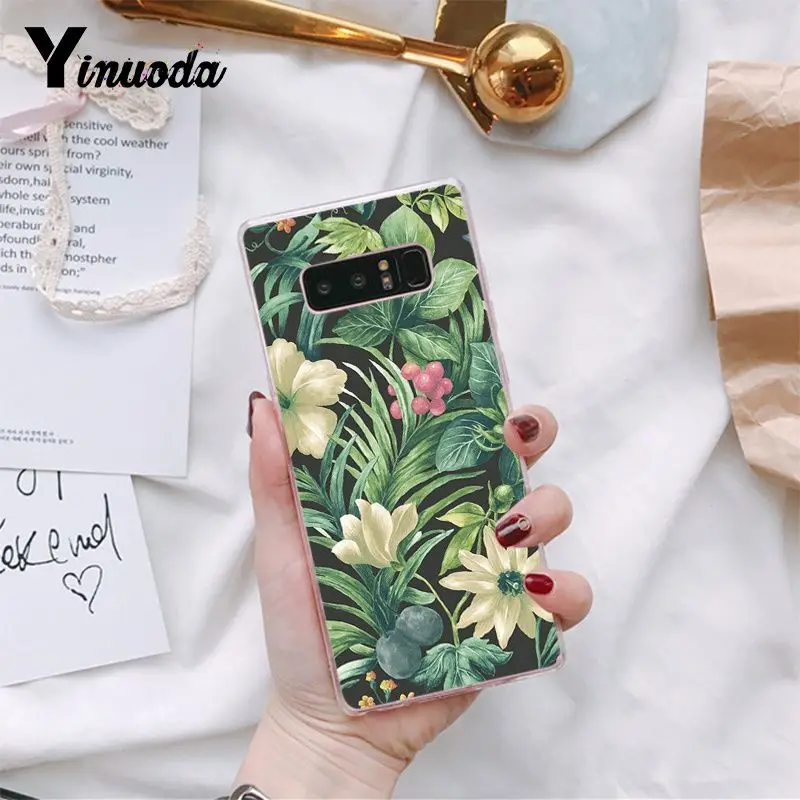 Tropical Plants Cactus Banana Leaves