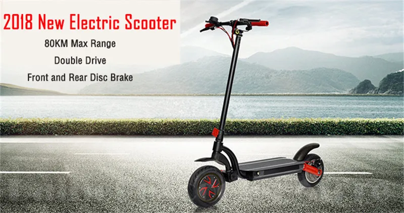Daibot 48V Electric Scooter Two Wheel Electric Scooters 10 Inch Double Drive 700W 55KMH Foldable Electric Skateboard For Adult (2)
