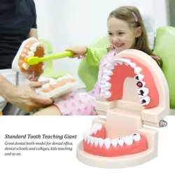 Стандартные зубцы, Обучающие гигантские стоматологические инструменты стоматолога модель детский тренажер для лечения зубов