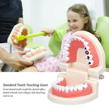 Standard Tooth Teaching Giant Dental Dentist Teeth Model Child Kidtraining Model Disease Teeth Medical Model цена Standard Tooth Teaching Giant Dental Dentist Teeth Model Child Kidtraining Model Disease Teeth Medical Model цены онлайн