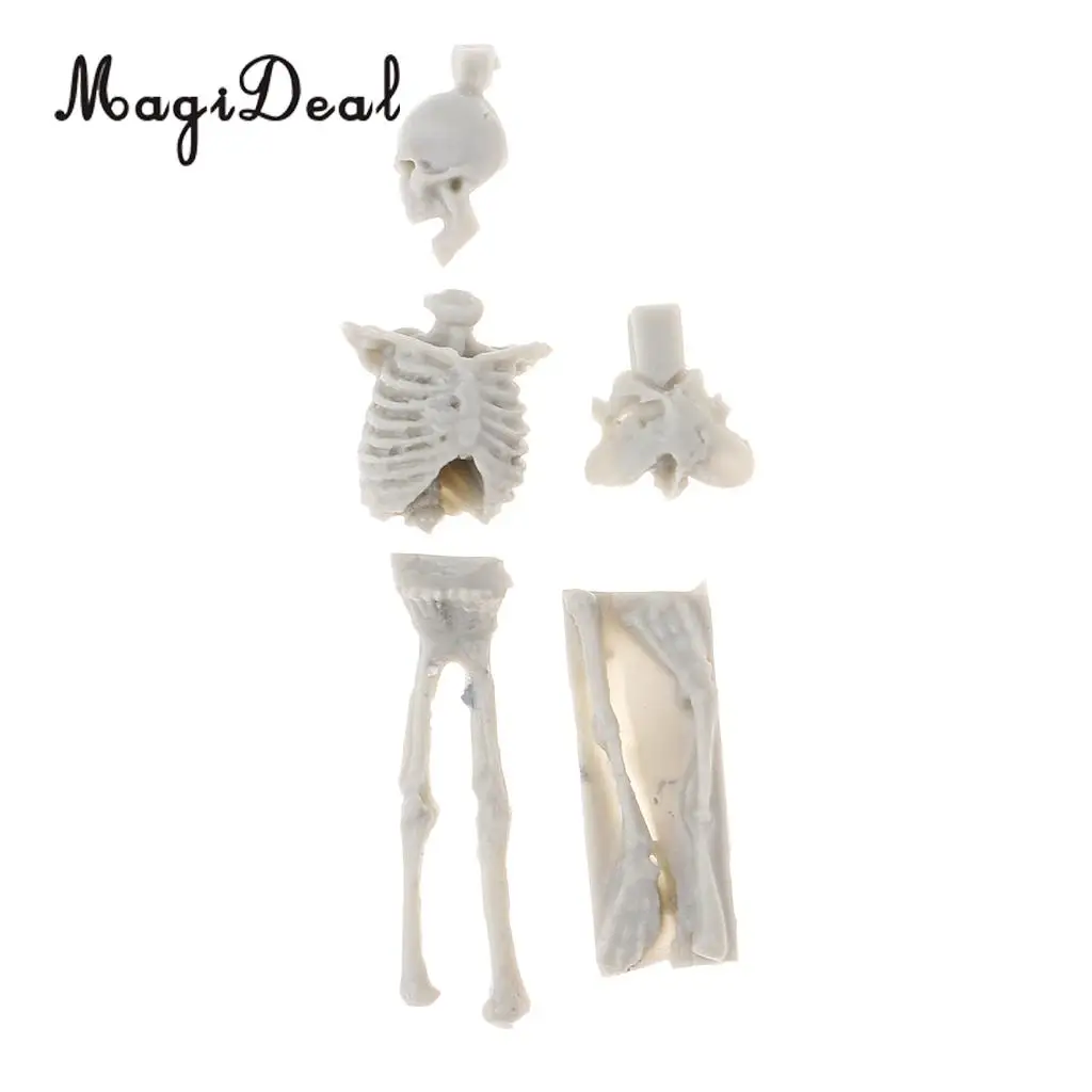 MagiDeal 1Set Unassembly Unpainted Kit 1/35 Scale Resin Skull Skeleton Mini Sand Table Scene for Handmade Art Craft Model Gift