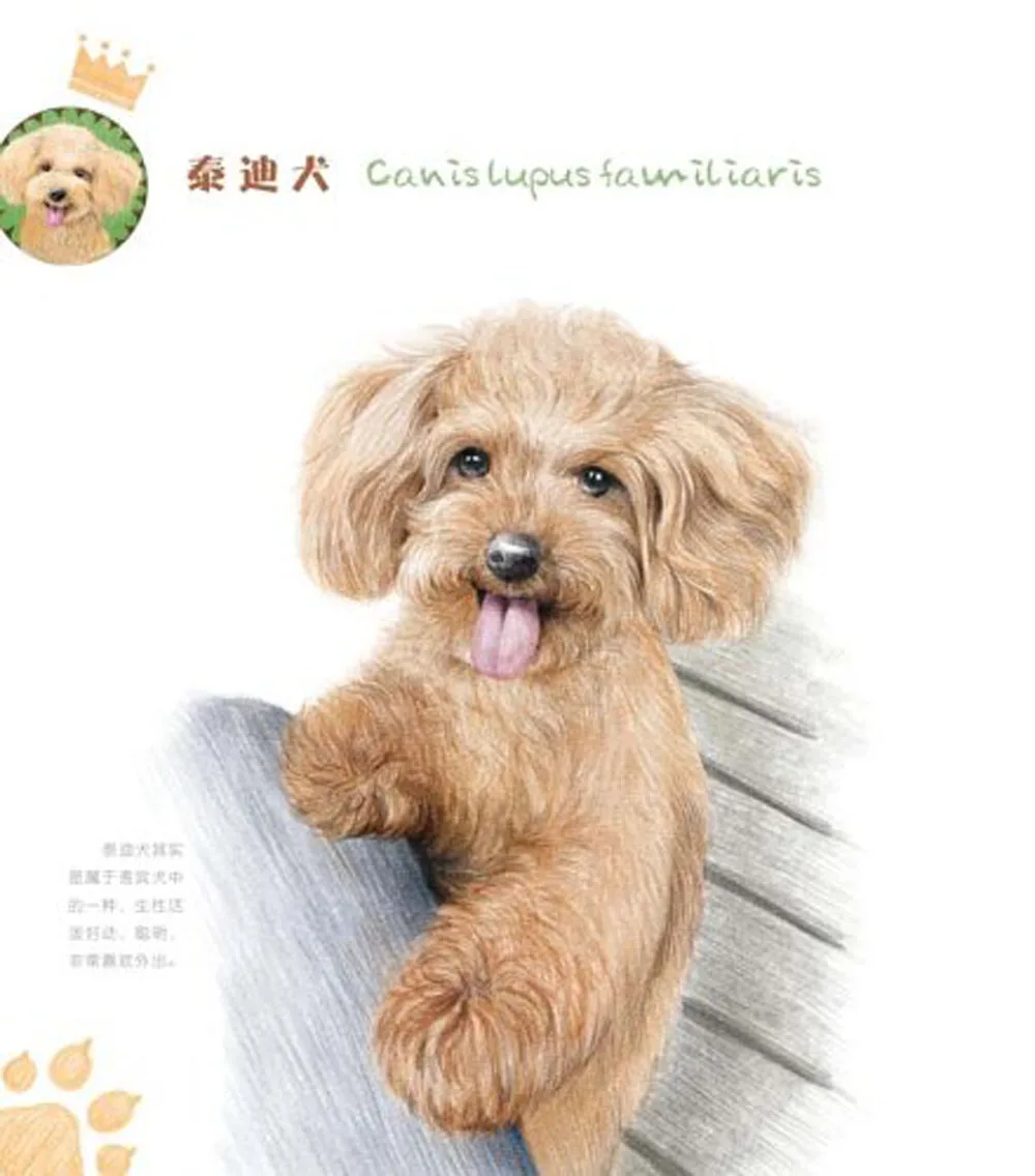 2 шт. Цвет карандашом рисунок книги для взрослых собака животных живописи учебник книга ручная роспись животных Pet Art учебник