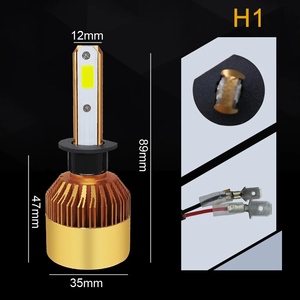 H1