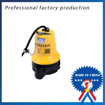 

12/24V Mini Electric Car Washing Submersible Pump