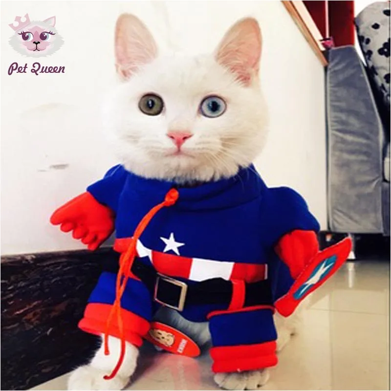 Funny Halloween pet cat dog Captain America costume cosplay superhero