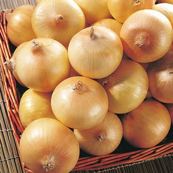 

New Delicious 100 pcs/ bag Giant Onion Organic Russian Heirloom Garden Supplies For Fun Interest DIY