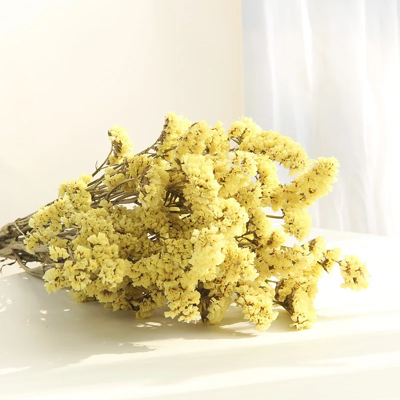 Preserved Fresh Dried Forgetful flowers Branch For Wedding Home Party Holiday Decorate DIY Bouquet Project Accessory SAD70 (7)