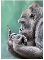 Бабочка с обезьяной изображение животного книги по искусству Настенный декор Шелковый плакат
