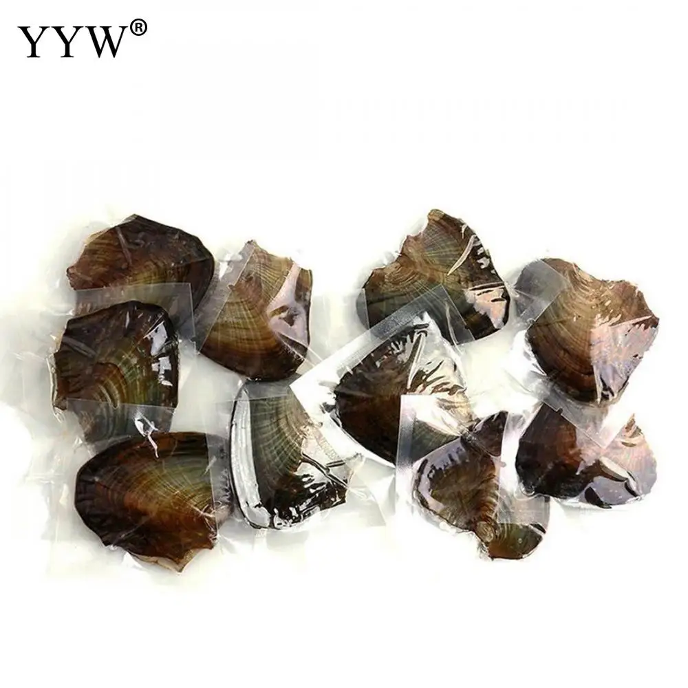 7.5-8mm Vacuum-Packed Oyster Pearl Dyed Beads mixed colors Mysterious Gift Surprise at Wedding Party individually wrap 10PC/Bag | Украшения