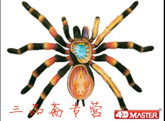 //img.alicdn.com/imgextra/i1/99136169/TB28VkqXVXXXXXNXpXXXXXXXXXX_!!99136169.jpg