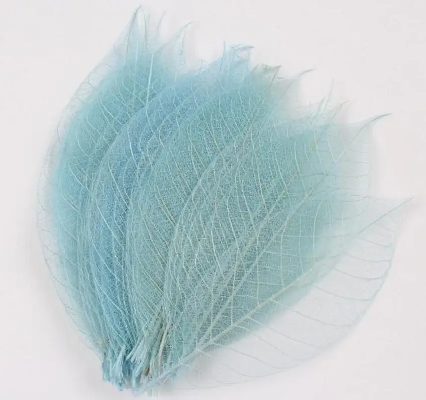 

100pcs 6-8cm Natural Dried Rubber Tree Leaf Leaves Plants Herbarium For Jewelry Bookmark Postcard Making Accessories