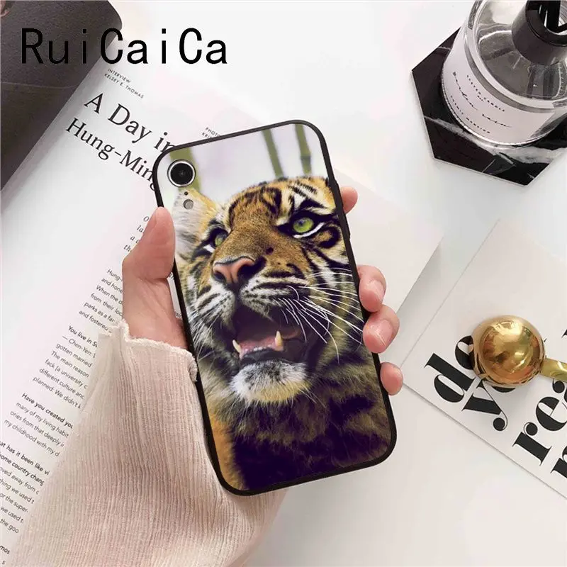 tiger fashion