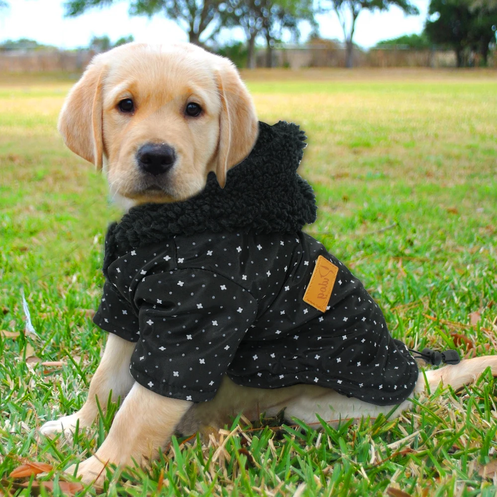 Французская одежда для бульдога зимняя одежда для домашних животных розовая куртка для щенка куртка для маленьких средних и больших собак для йоркширских терьеров и чихуа-Хуа йоркширского