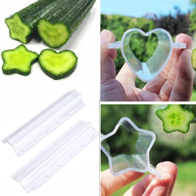 

Cucumber Fruits Growth Forming Mold Pentagonal Star Shape Mould Model Plastic