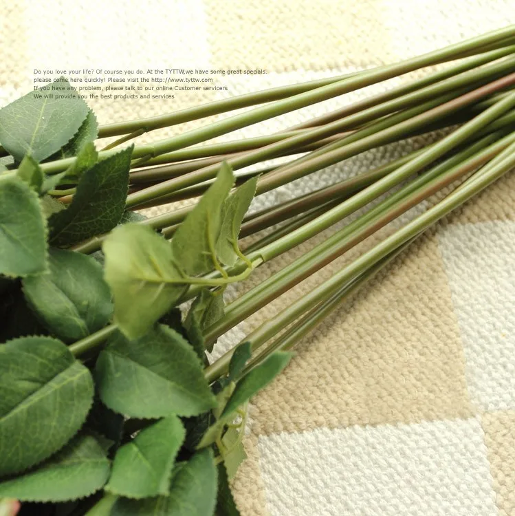 T2hbSvXiNbXXXXXXXX_!!22432034