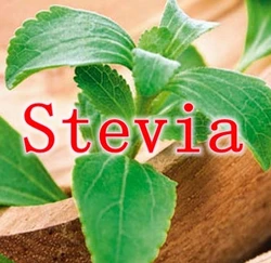 

No Bitter Taste 100gram Stevia 95% Powder Zero Calories Stevioside 95% Pure Water Extract Halal/ Kosher certificate