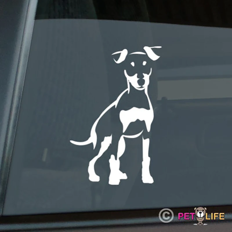 

Miniature Pinscher cute dog Sticker Die Cut Vinyl Min Pin window decal sticker for car window 13.75x9.1cm