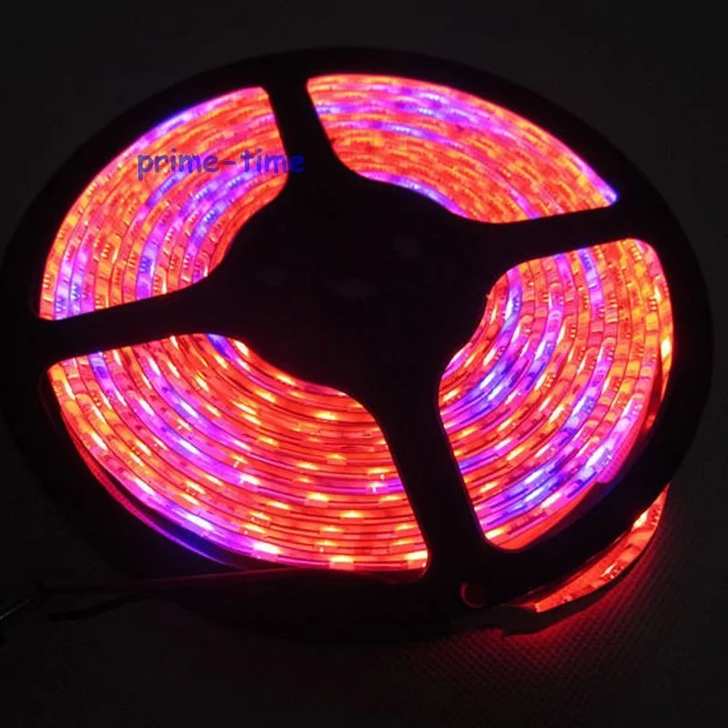 1M-5050-SMD-60-LEDs-Grow-Plants-Fill-Aquarium-Strip-Light-Red-Blue-7-1-12V (3)