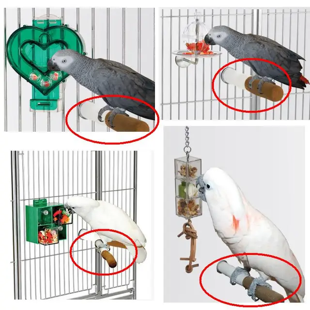 CAITEC Bird Perched Stick Nail Grooming for Parrots Bird Stand Fits any Type of Cages Suitable for Small to Large Birds 2