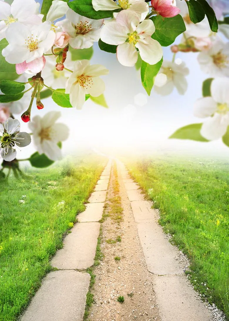 

Pear blossom backgrounds sun shinning photography backdrops for photo studio photographic background camera fotografia