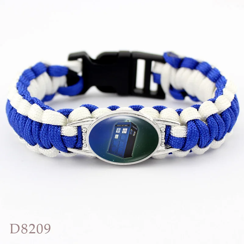 D8209