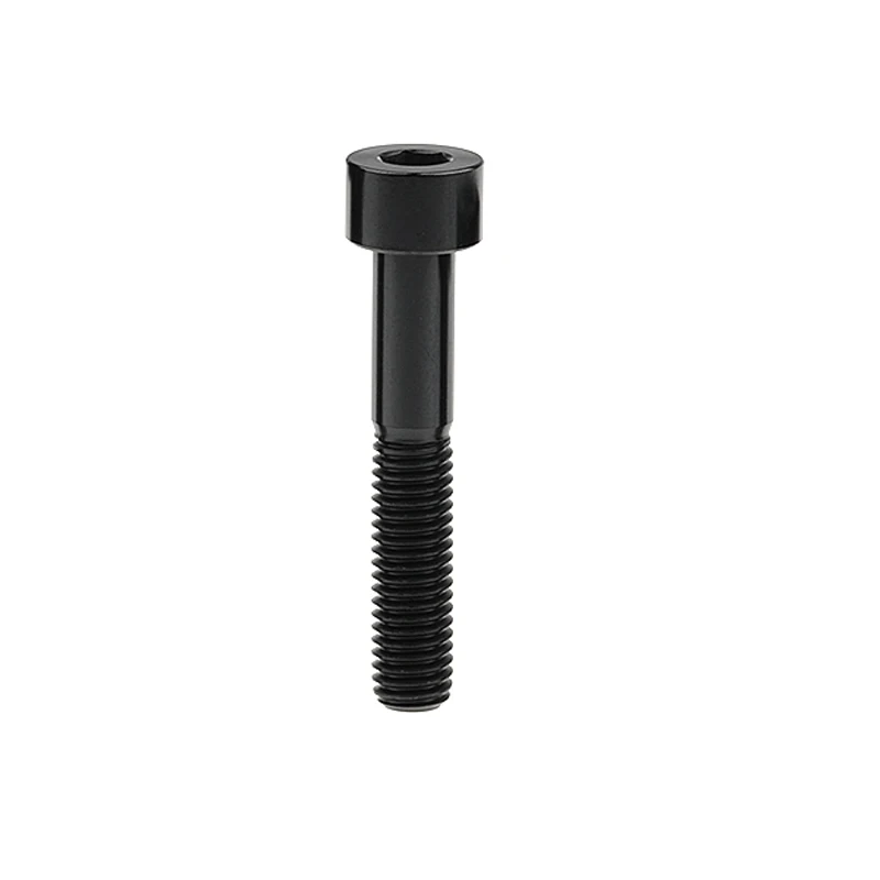 Wanyifa 티타늄 볼트 M8 x 15 20 25 30 35 40 45 50 60 70mm 알렌 키 헤드 볼트 나사 자전거 오토바이 자동차