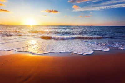 Seaside Sunset Beach Photography Backdrop Art Fabric Seaside Sunset Beach Photography Backdrop Art Fabric Newborn Pet Background For Emulational Photo D