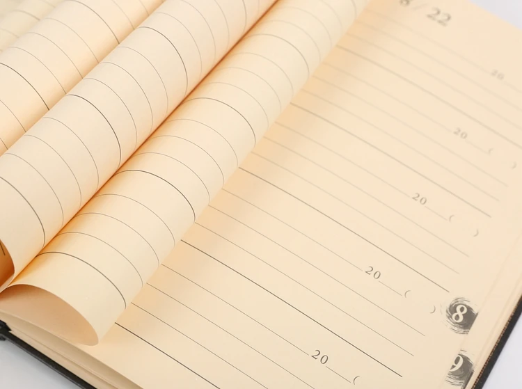 five years diary (6)