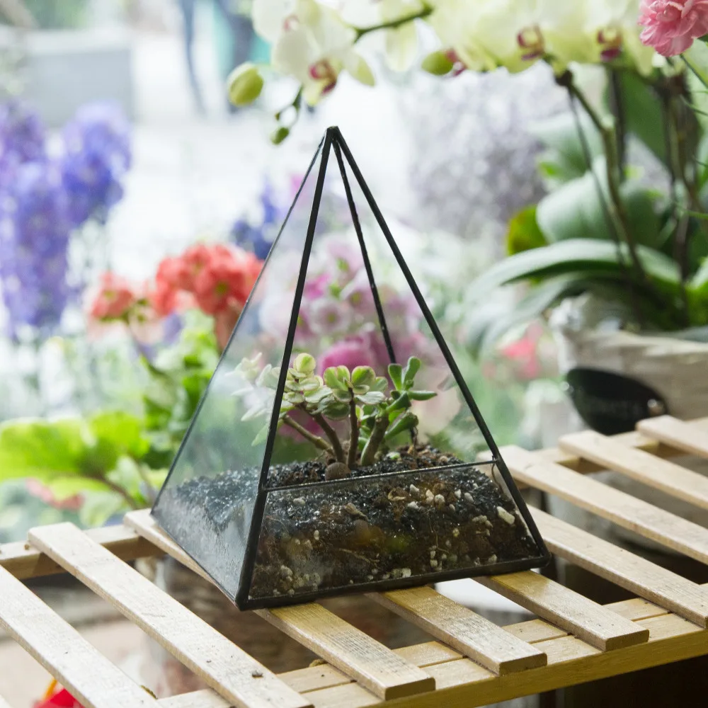 

Modern Tabletop Geometric Glass Terrarium Window Sill Box Succulent Flowerpot Pyramid Plants Container Planter Bonsai Flower Pot